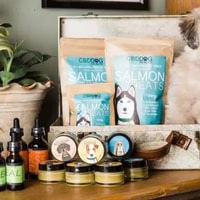 CBD Dog Health Review 
