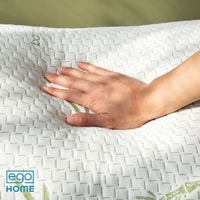EGO Home Review 