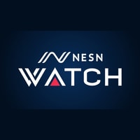 NESN Review 