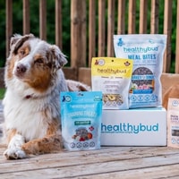 Healthybud Review