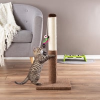 PetShopUSA.com Review