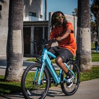 Mokwheel Ebike Review