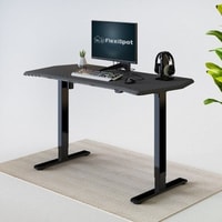 FlexiSpot Standing Desk Review