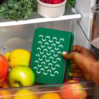 Fridge Friend Review