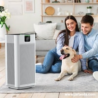 Jafanda Air Purifier Review 