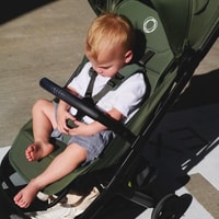 Little Canadian Review