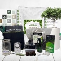 The Bud Grower Review 