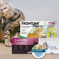 Pet Care Supplies Review