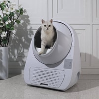 ComfyCat Review 