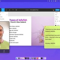Tella Review