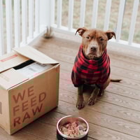 We Feed Raw Review