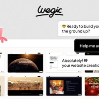 Wegic Review