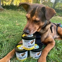 Zora's Best Friendz Review