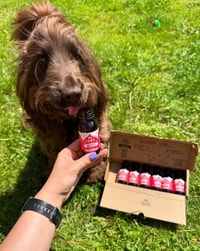 PAWD DRINKS Review