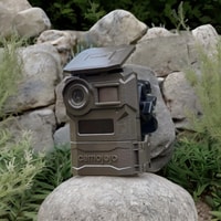 Camojojo Trail Camera Review