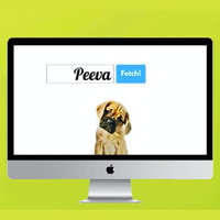 Peeva Review