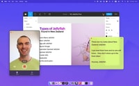 Tella Review