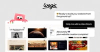 Wegic Review