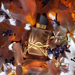 YSL Beauty