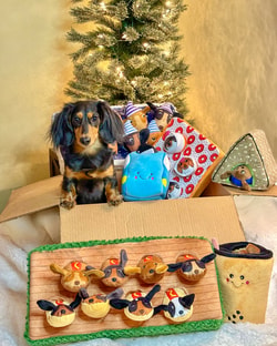 Patchwork Pet