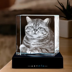 ArtPix 3D