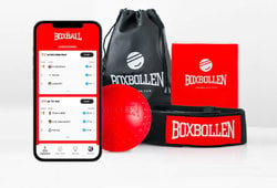 Boxbollen
