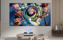 CASIRIS Projector