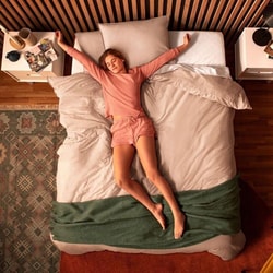 Cocoon by Sealy