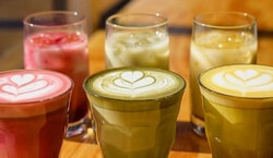 Duralex Glassware