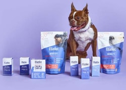 Ellevet Sciences