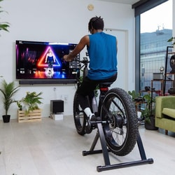 Freebeat Bike
