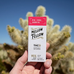 Mellow Fellow