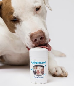 PetFriendly