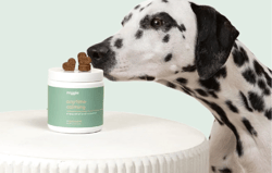 Reggie Dog Chews