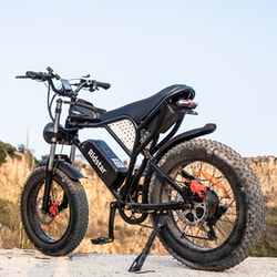 Ridstar