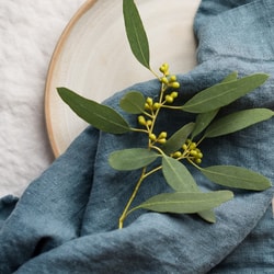 Rough Linen