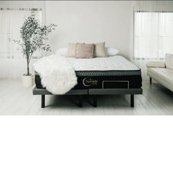 Twinkle Beds