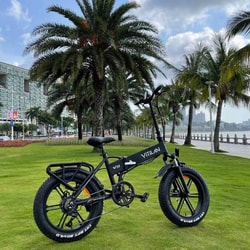 Vitilan Ebike