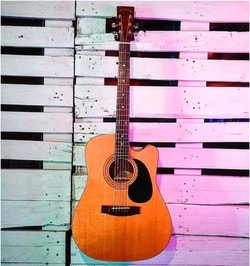 Zager Guitars