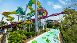 Adventure Island