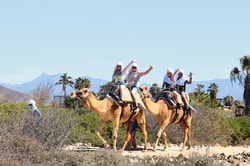 Adventures Cabo