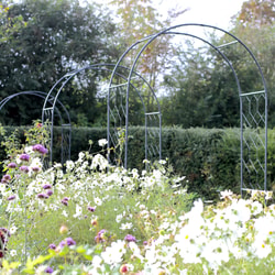 Agriframes