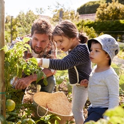AgroThrive