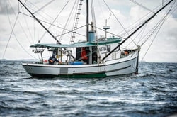 Alaska Gold Seafood