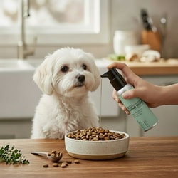 AlchemyPet