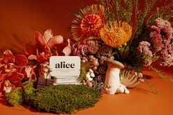 Alice Mushrooms