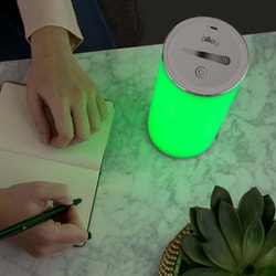 Allay Lamp