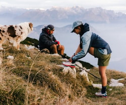 AlpinStore