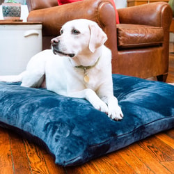American Blanket Company