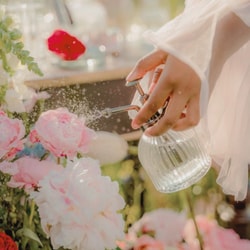 Aroma Passions